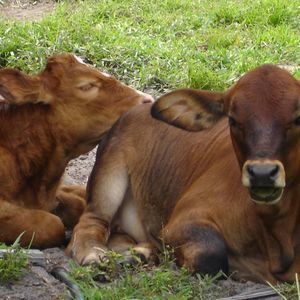 Meet your Posher, Jane